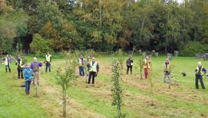 Bulb planting